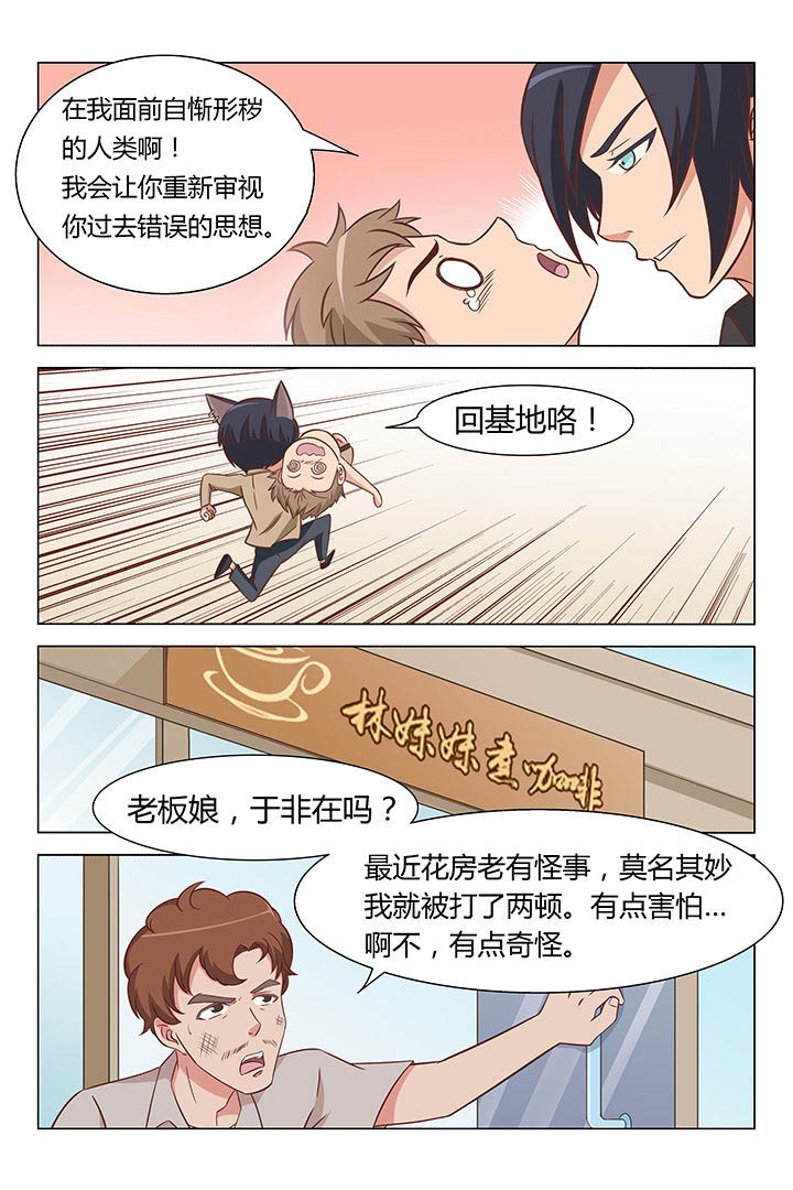 喵即正义漫画,第27章：3图