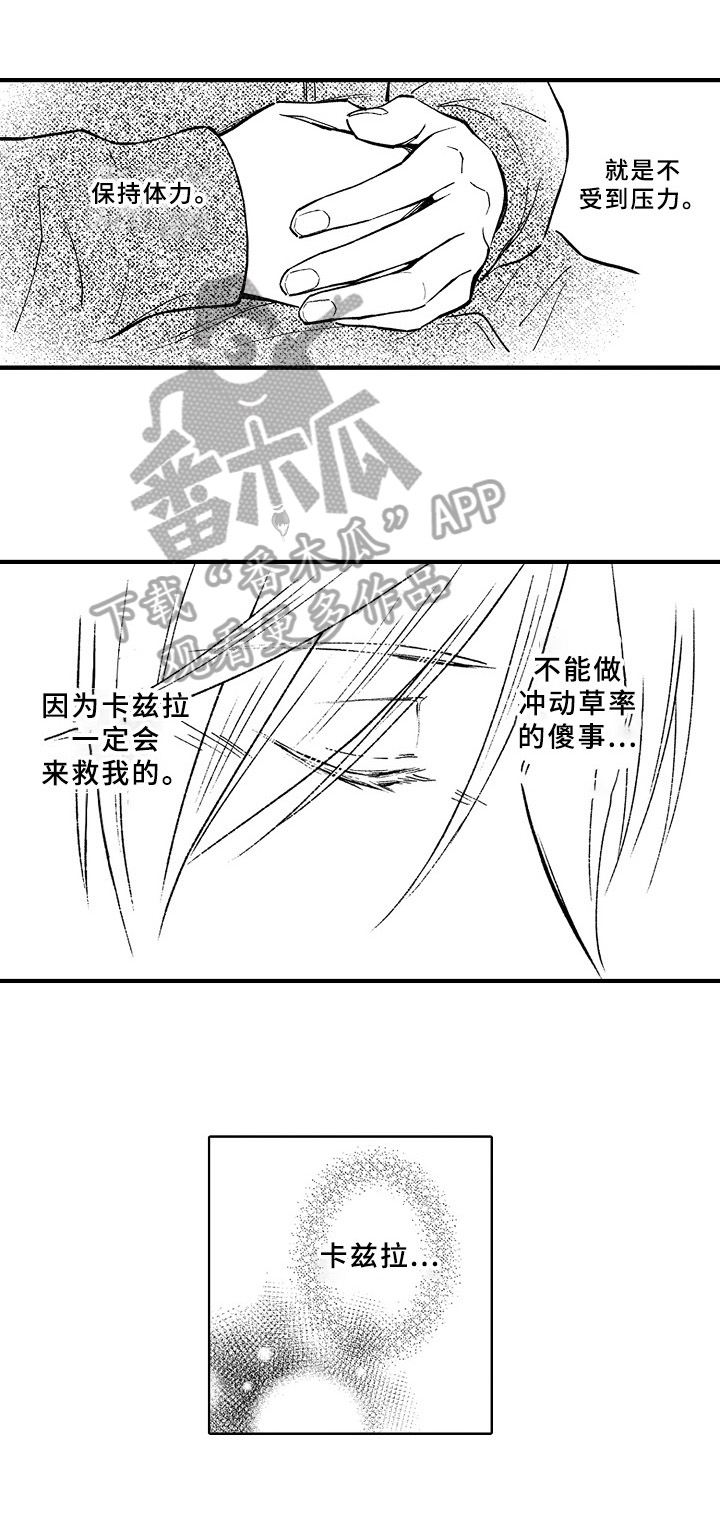 第41章：预案3