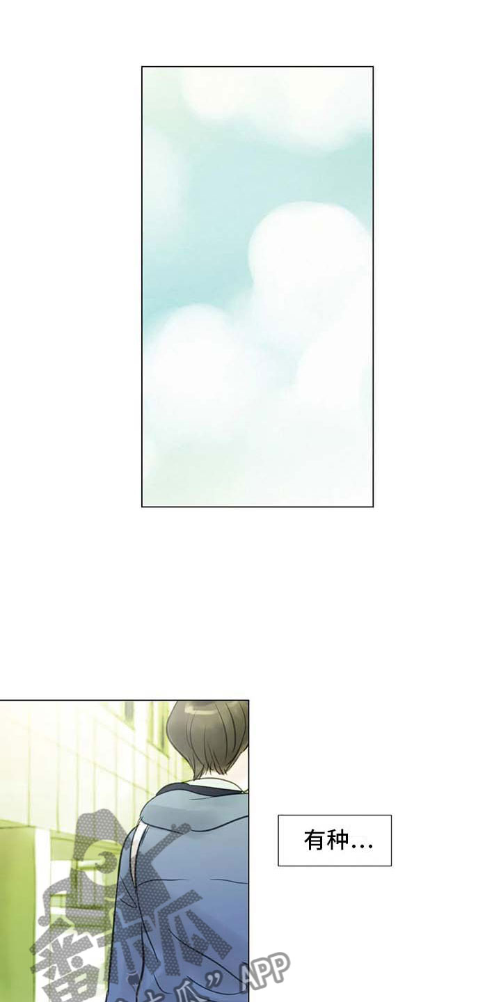 艺术之桥,连接世界 --2024 威尼斯艺术双年展当代平行展绽放光彩漫画,第30章：秘密探寻1图