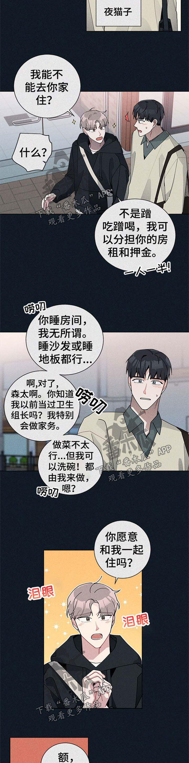 第65章：等你答复4