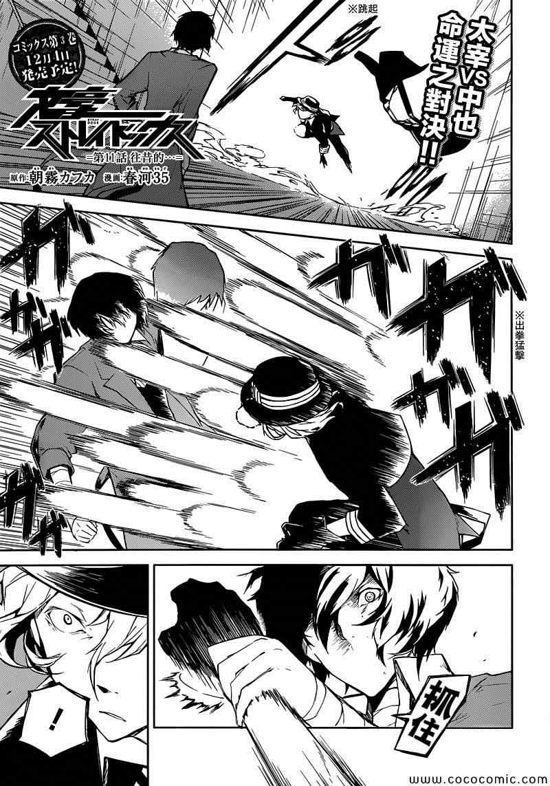 文豪野犬第三季在线观看免费漫画,第11话1图
