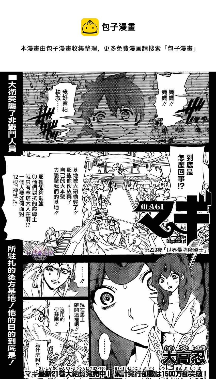 魔笛magi免费版漫画,第229话1图