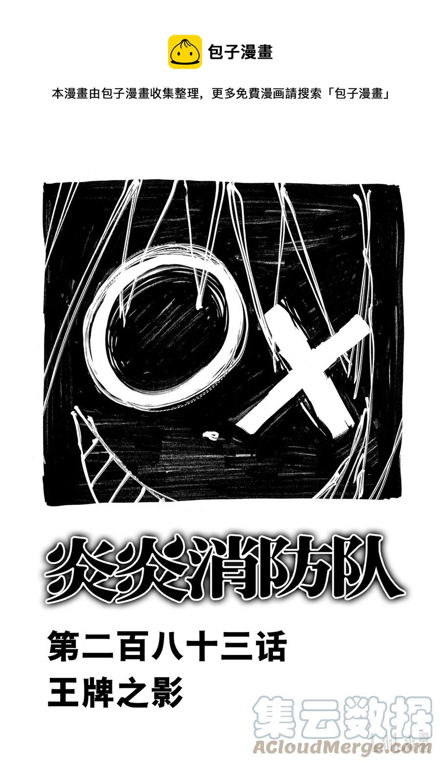 283 王牌之影0